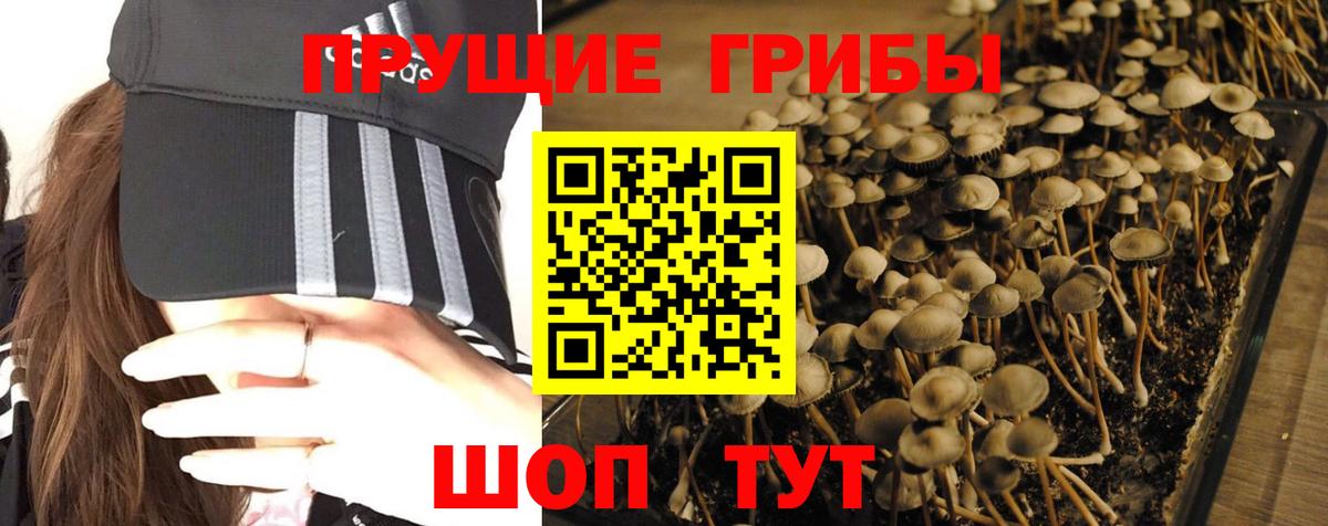 Псилоцибиновые грибы мухоморы Тейково